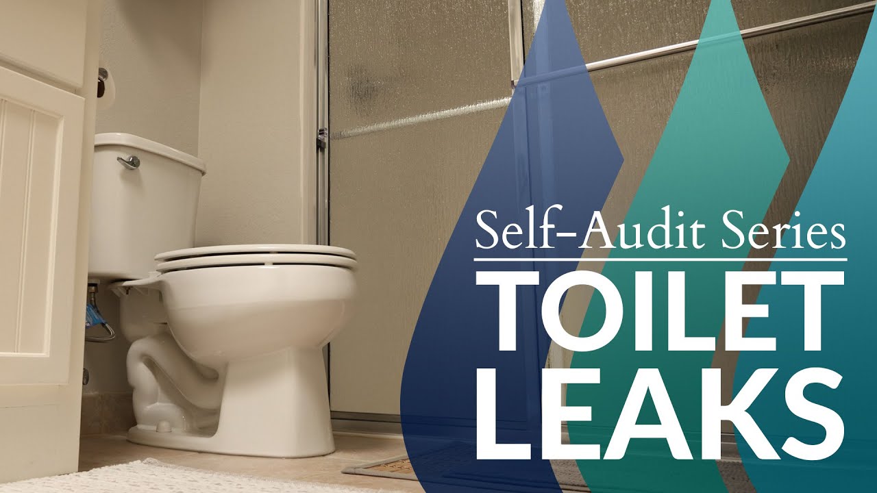 Self-Audit Series: Toilet Leaks - YouTube