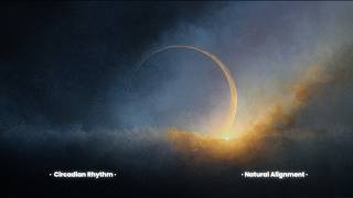 Circadian Rhythm And Sleep