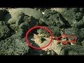 Download MISTERI PULAU MAKAM MANIMBORA, KALIMANTAN TIMUR MISTERI PULAU MAKAM MANIMBORA, KALIMANTAN TIMUR