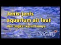 Jenis Aquarium Laut Rumahan & Tingkat Kesulitannya 🐠