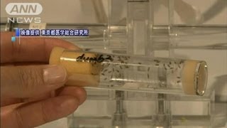 空腹だと記憶力上がる！？ハエの実験で解明（13/01/25）
