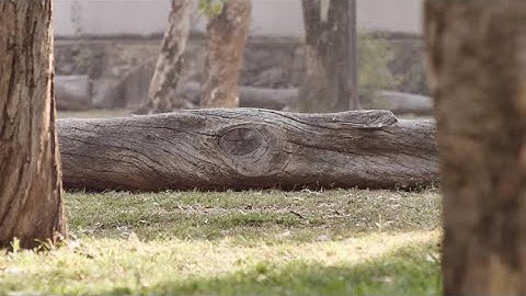 Foreground - background separation