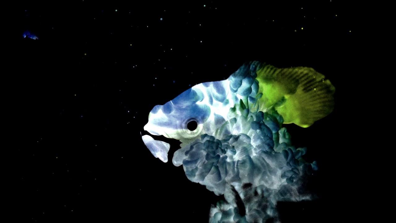 Alina Baraz & Galimatias - Show Me (Animated Video) Alina Baraz & Galimatias - Show Me (Animated Video)