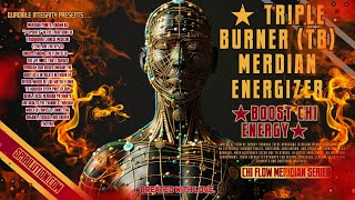 ★Triple Burner Meridian (TB) Energizer★ (BOOST CHI ENERGY)