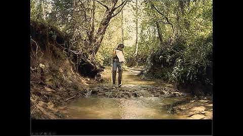 Module 1 Panel Discussion #1 Low-Tech Workshop