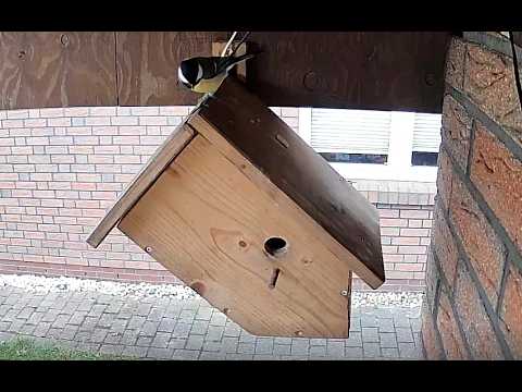 Nistkasten 1 Außen Heide DE, Birdbox 1 Outside Germany, Day 09.10.2026