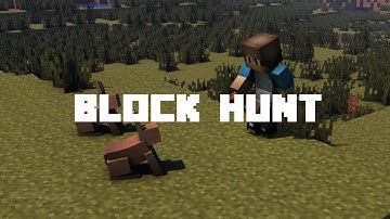Minecraft: Block Hunt Hacker!