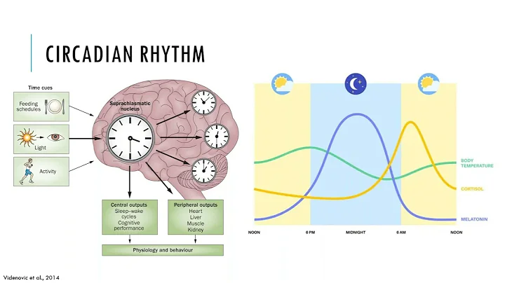 Morning Light Therapy for Tourette's Disorder