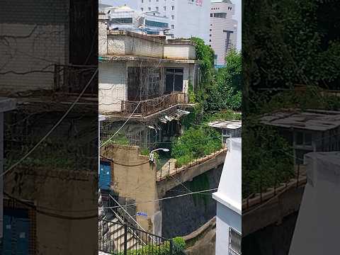 부산에선 흔해빠진 귀신의 집