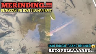 lagi enak mancing, malah muncul penampakan ghoib raja lele di sumur tua