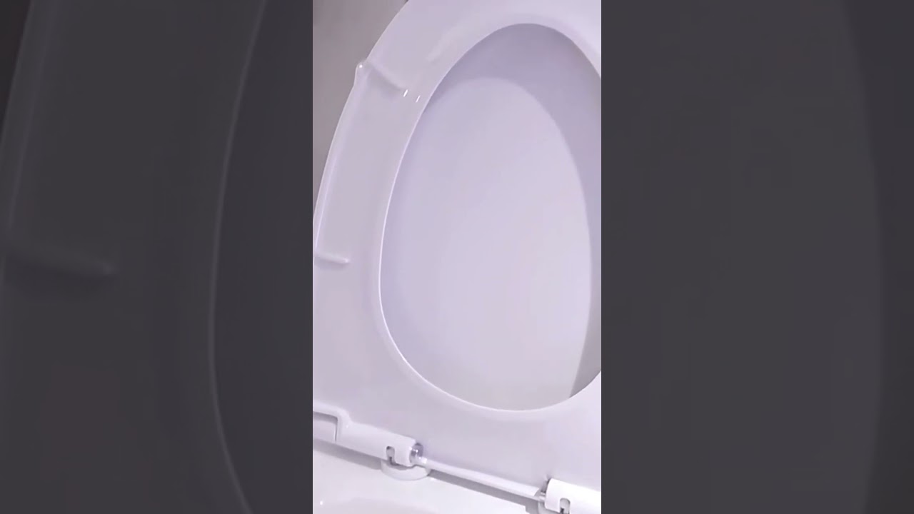 🔥Hot selling ADA .CUPC WATERSANSE toilet design-Saige☎️WhatsApp +86-18666642732