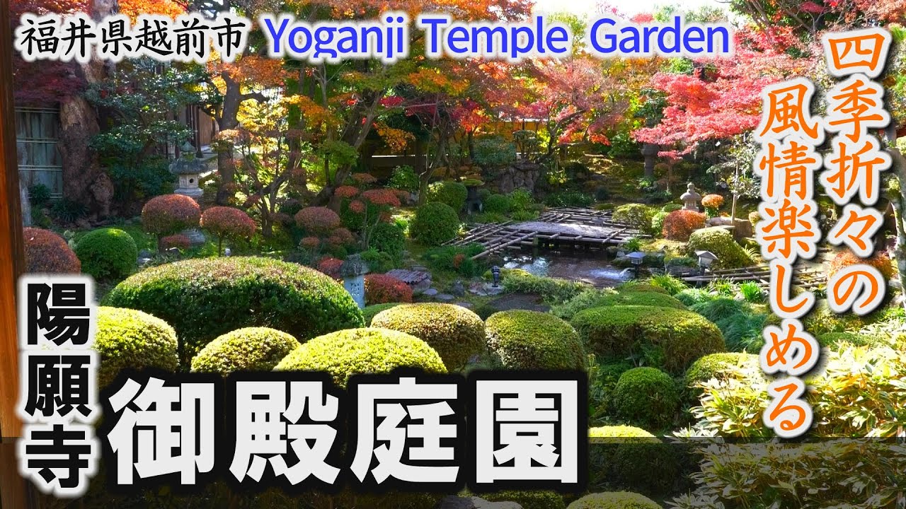 皇族ゆかりの寺院・陽願寺「御殿庭園」四季折々の風情を楽しめる～越前市【動画紀行・福井県】Yoganji Temple Garden