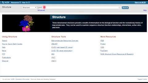 L1 lab   NCBI protein + Protein Database PDB