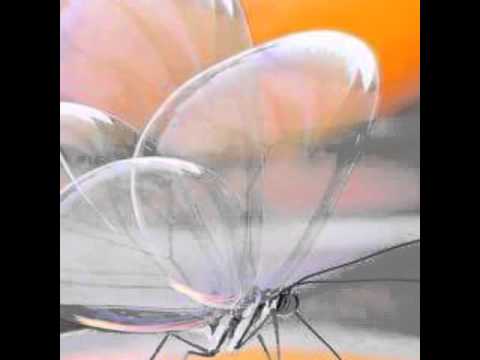 صباح بنكهة الامل و الايجابية د سمية محمود 