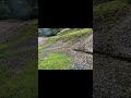 #クレー射撃#トラップ射撃#射撃#猟師#Shorts#ショットガン#サバゲー#fps#hunting#shooting#練習#排莢#散弾銃#Shootingrange #GoPro