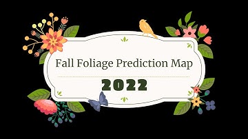 2022 - Fall Foliage Prediction Map