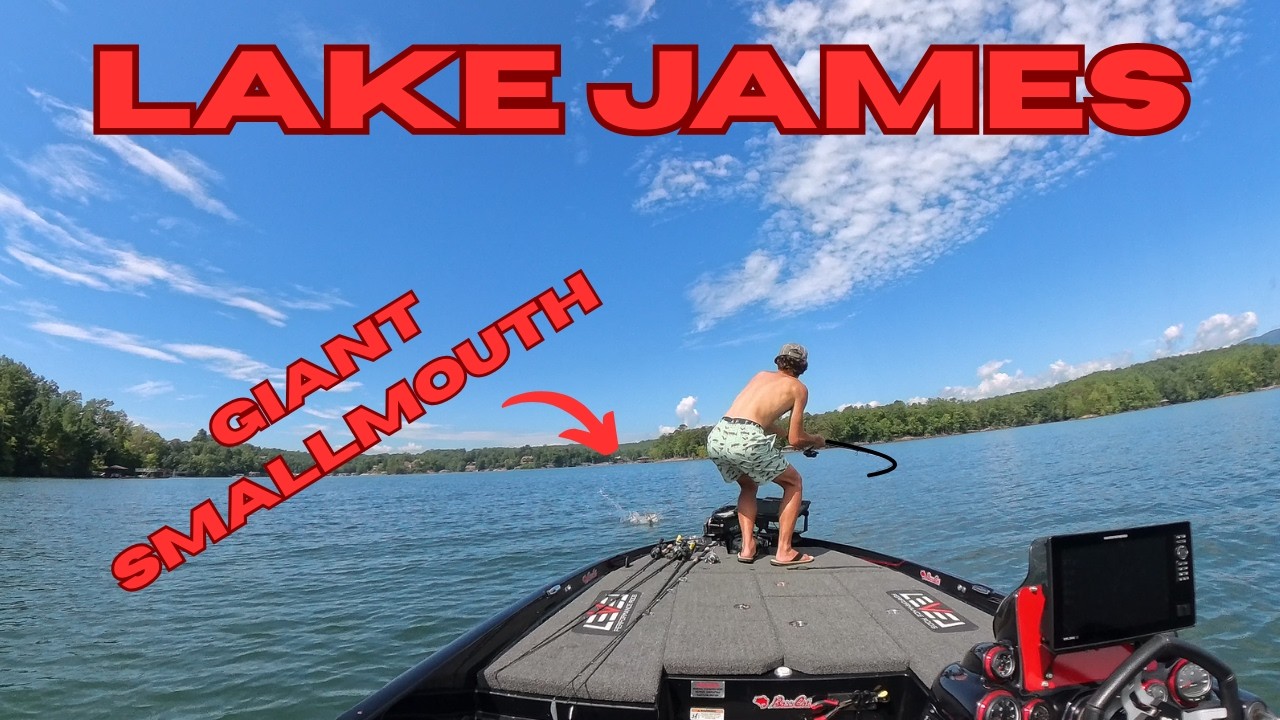 THIS IS THE ONE OF THE BIGGEST FISH IVE CAUGHT OUT OF HERE  |  Lake James Bass Fishing