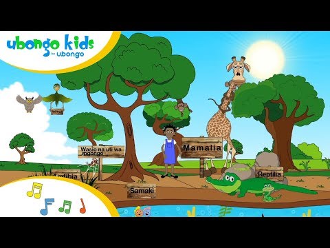 Makundi Ya Wanyama Imba Na Ubongo Kids Katuni Za Kiswahili
