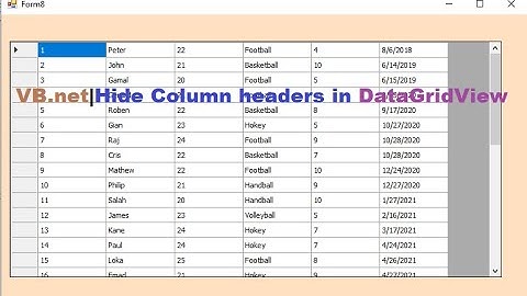 VB.net Tutorial How to hide Column Headers in DataGridView