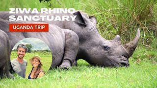 Tracking White Rhinos On Foot in Africa (Uganda)!