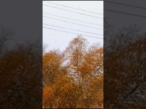 ولعلني رغم احتياجي