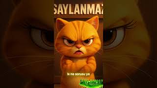 Kediyi Böyle Tepetaklak Eden Soru Üfff Ne Sorusu Yaa