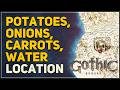 Potatoes, Onions, Carrots, Water Location Gothic 1 Remake
