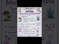 Biology Class 11 Chapter 2 | Phycomycetes Explained in Hinglish | Biological Classification