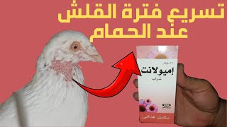 اقوي علاج لتسريع فترة القلش عند الحمام/وطريقة الاستخدام ✅🕊👍/2023