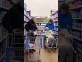 Shopping with my grandma part 24 ￼