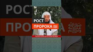 Рост Пророка Мухаммада ﷺ Сирадж Абу Тальха