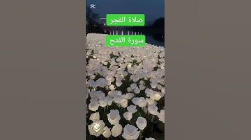 صلاة الفجر /سورة الفتح/ سفيان بن عيجة