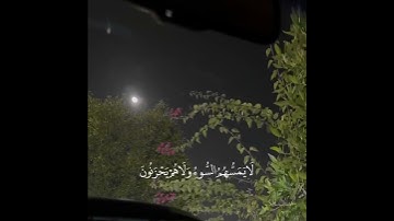 سورة الزمر  | القارئ علي جابر