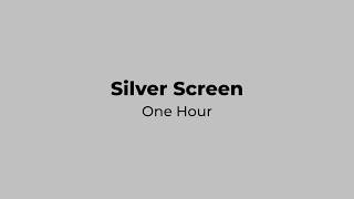 Silver Screen 1 Hour | Full HD Solid Silver Background | No Sound