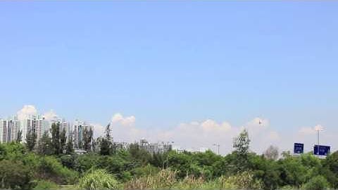 HeliPal.com - Walkera HM 60B Helicopter Test Flight I