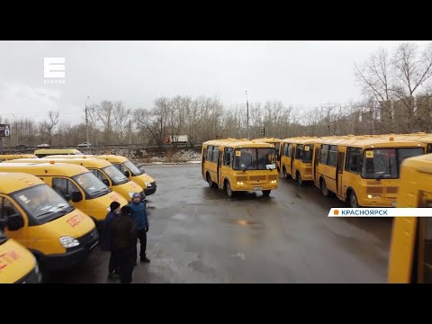 125 новых школьных автобусов отправились в города и районы Красноярского края