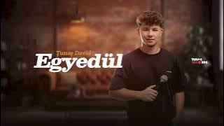 David Țunaș - Egyedül ( Cover )