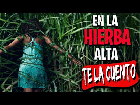 Video: ¿En la hierba alta?