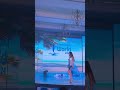 #short #dance #bollywood #show #entertainment Dance Entertainment Show Ishaan Khatter