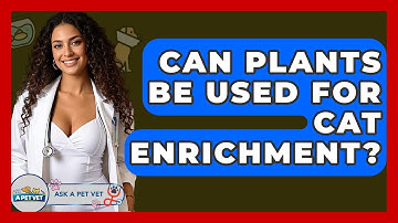 Can Plants Be Used For Cat Enrichment? - Ask A Pet Vet