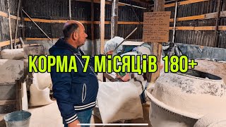 Корма Для Відгодівлі🐖7 місяців 180+🔥