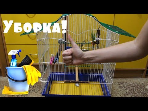 УБОРКА КЛЕТКИ ПОПУГАЯ | PetMania