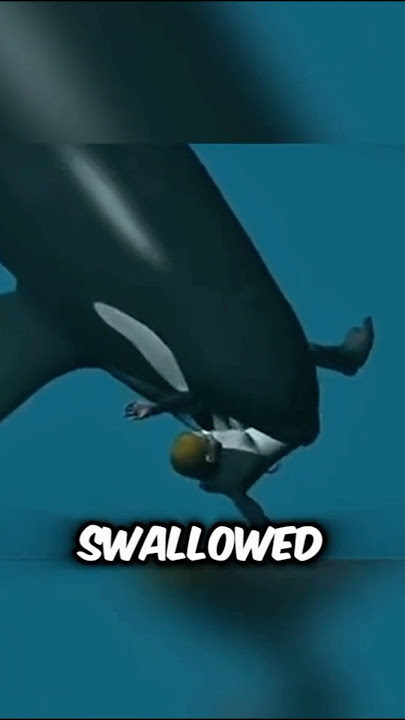 This trainer got eaten by an orca. #shorts