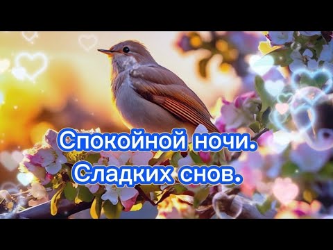 👼Спокойной ночи. Сладких снов!💖