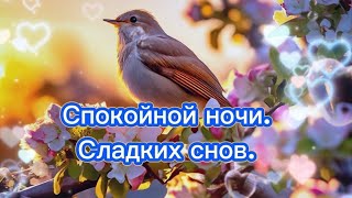 👼Спокойной ночи. Сладких снов!💖