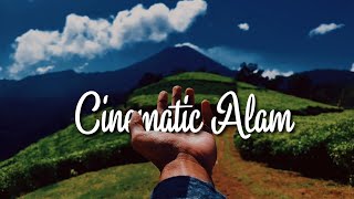 Cinematic Alam 1 Menit | Kebun Teh | story wa pagi hari | Aesthetic alam