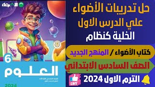 حل تدريبات الاضواء علي الدرس الاول الخلية علوم الصف السادس الابتدائي الترم الاول 2024 منهج جديد