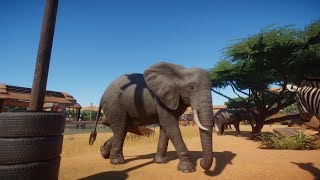 Planet Zoo Pcenglish 6 Minutes Of African Elephant