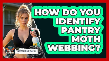 How Do You Identify Pantry Moth Webbing? - Insects and Invaders