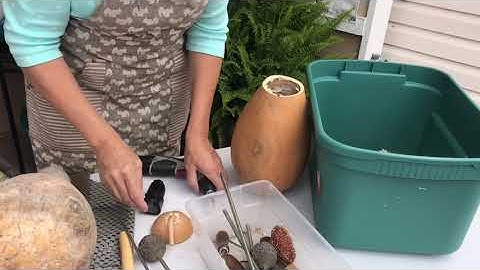 Colleen McKnight, Gourd Artist - Part One